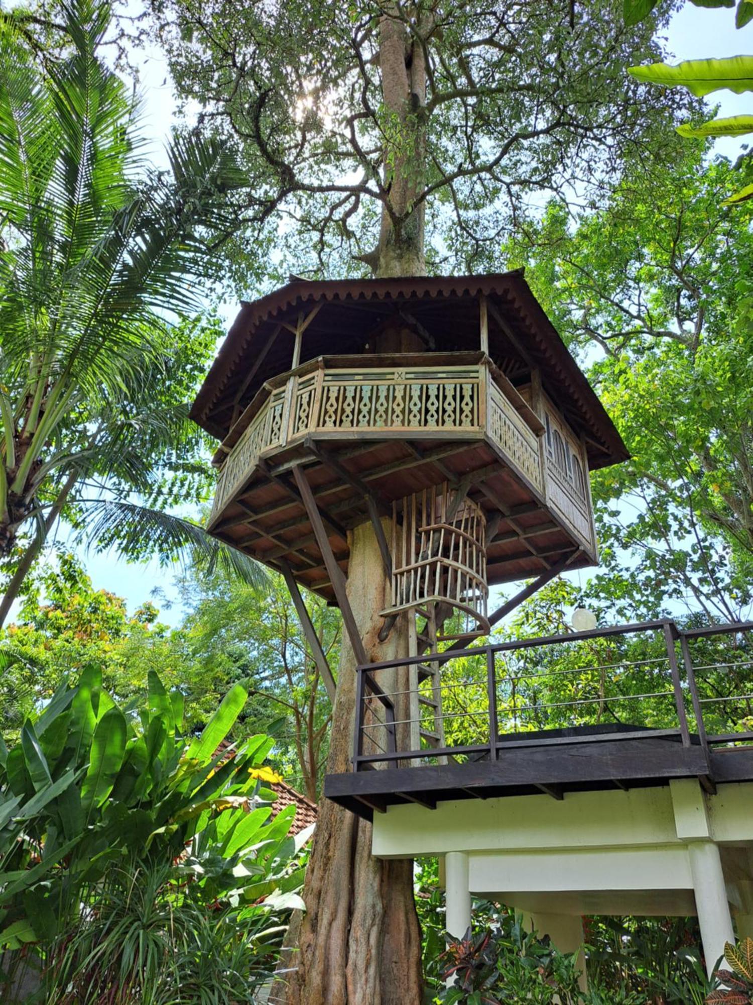 Green Bird Villa - Chse Certified Ubud  Bagian luar foto